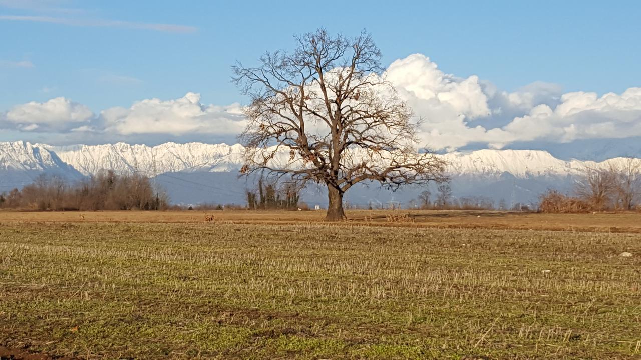 Bed and Breakfast Altebas Nogaredo di Prato Zewnętrze zdjęcie