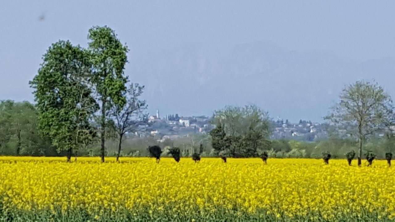 Bed and Breakfast Altebas Nogaredo di Prato Zewnętrze zdjęcie